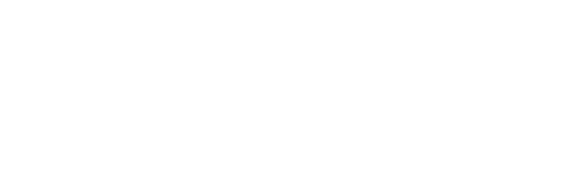 Nanci Fernández Logo Blanco