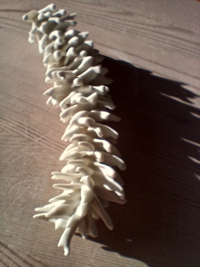 Escultura orgánica en papel porcelana