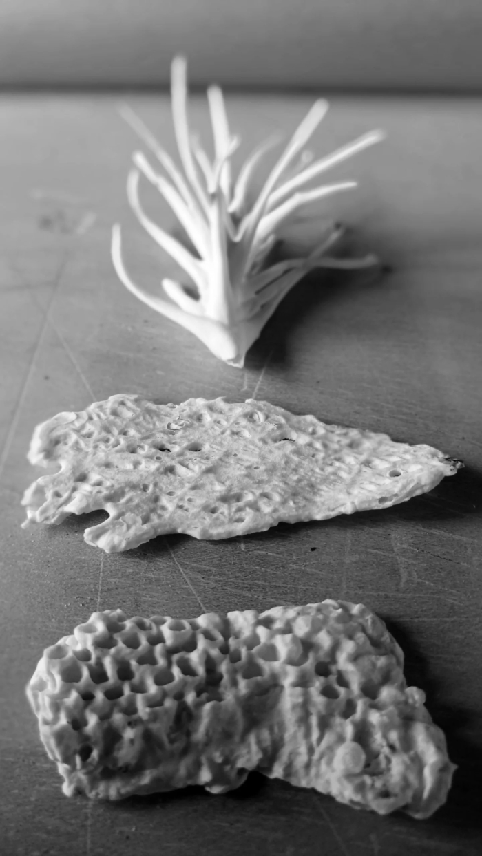 Conjunto texturas marinas en papel porcelana