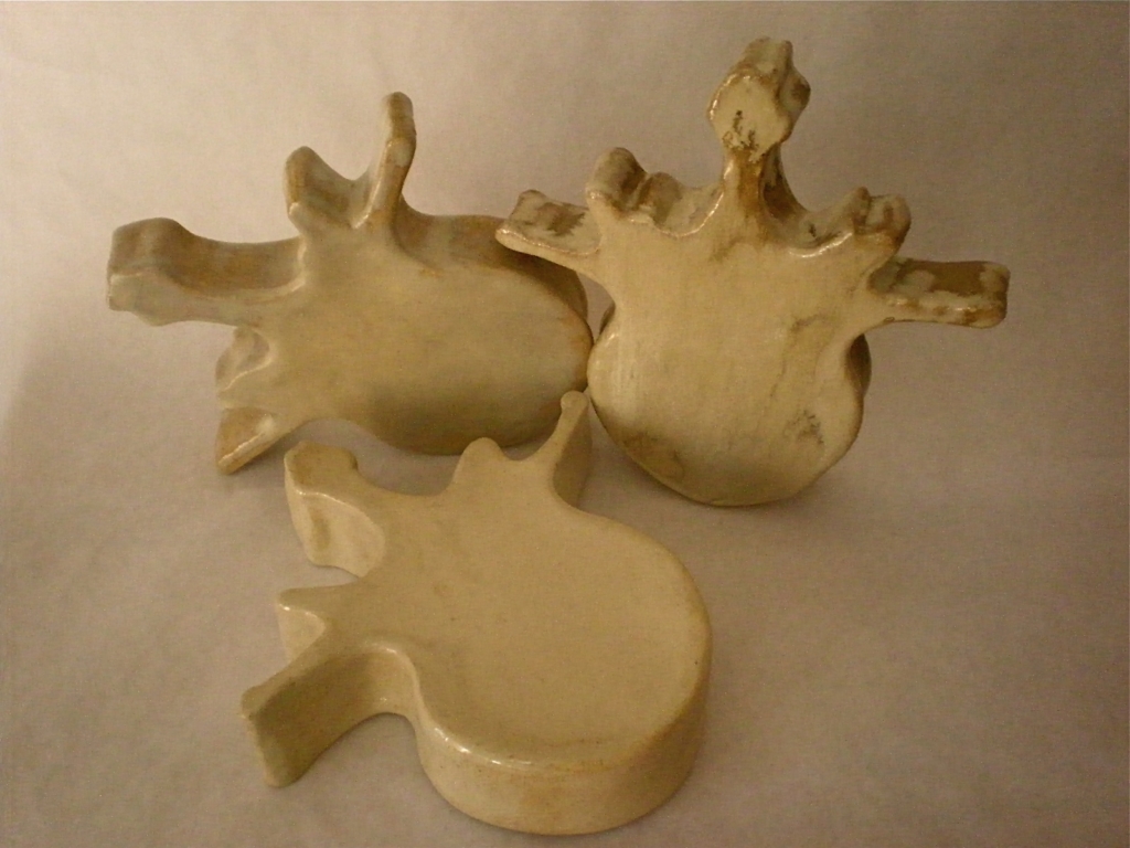 nanci fernandez la bicha