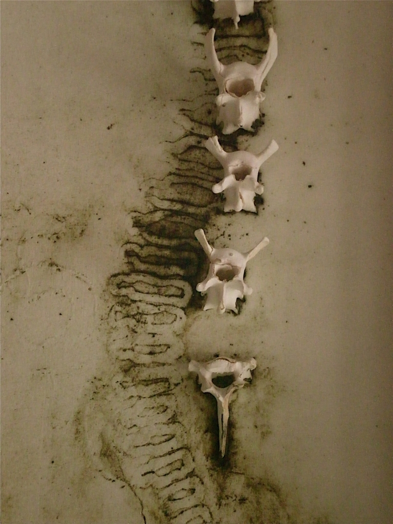 nanci fernandez la bicha