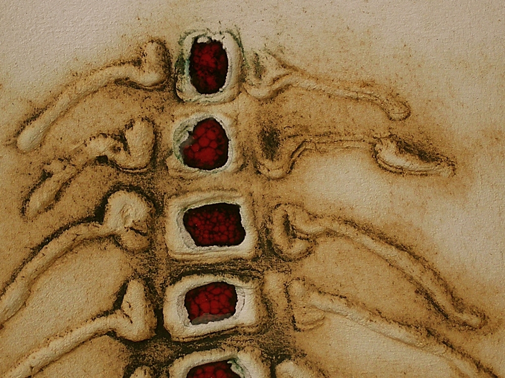 nanci fernandez la bicha