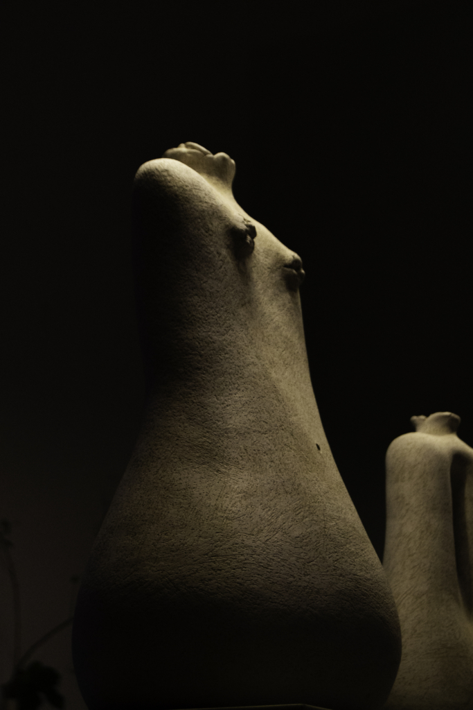 nanci fernandez mujeres